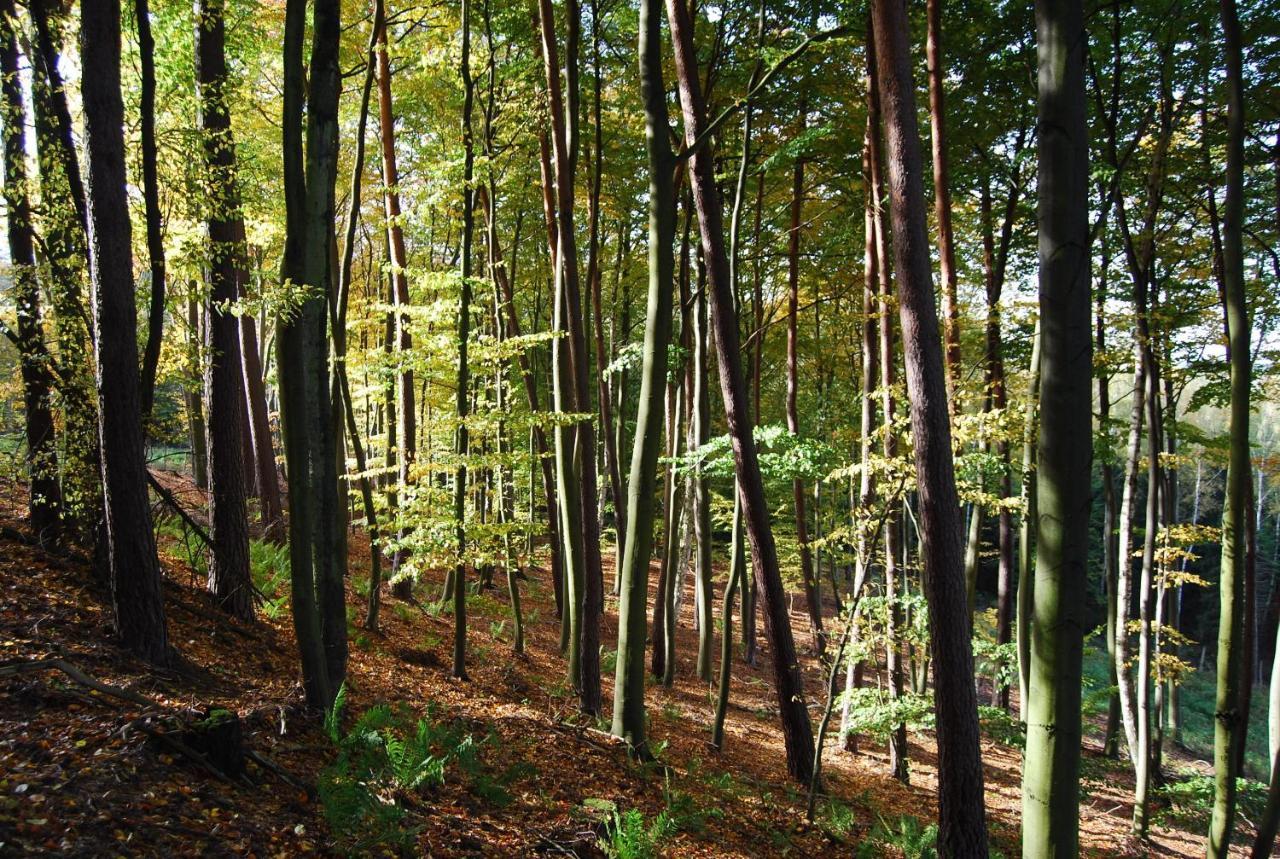 Osrodek Wypoczynkowy Laguna 卢布涅维采 外观 照片
